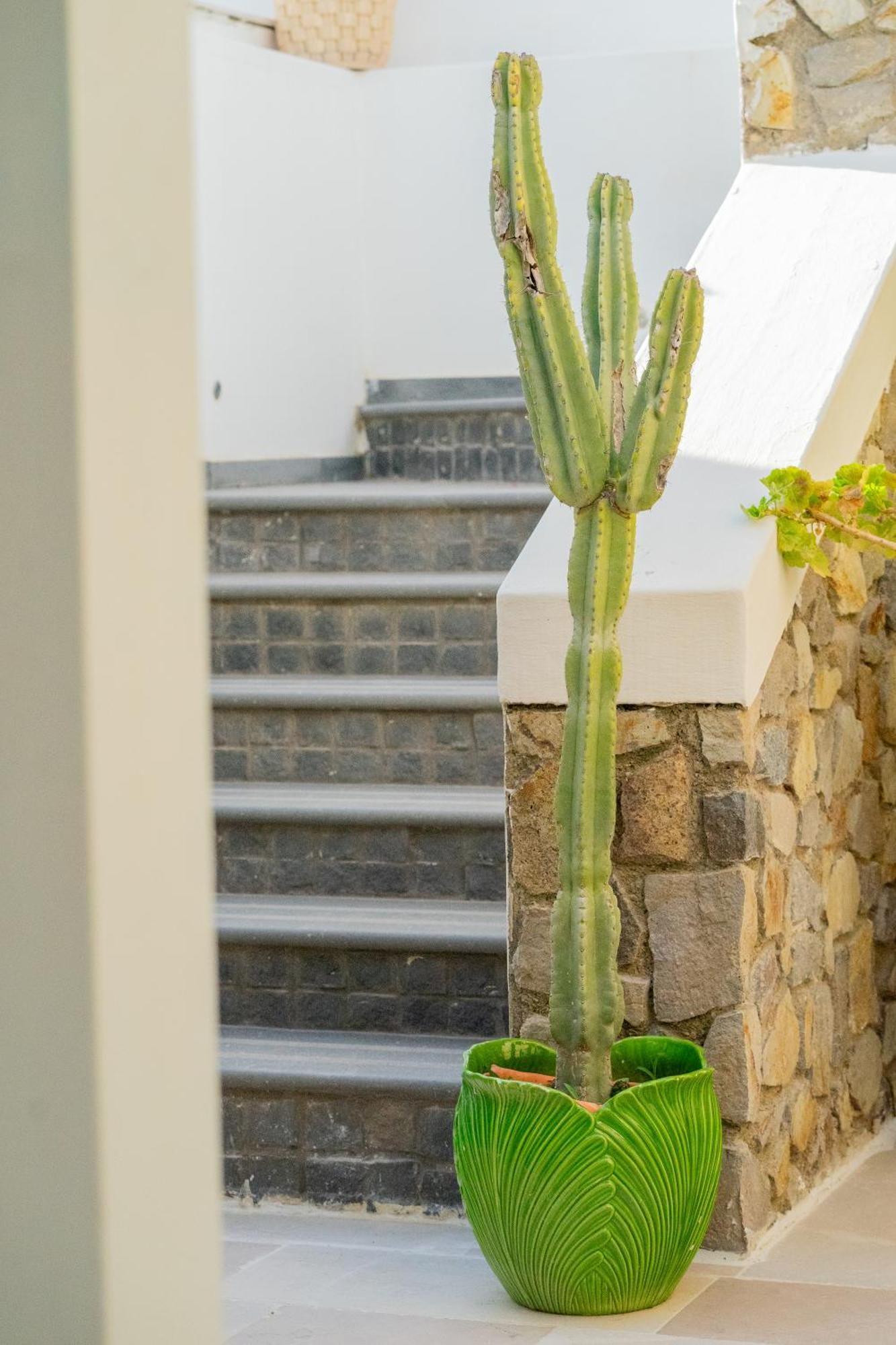 פונזה Villa Acacia מראה חיצוני תמונה
